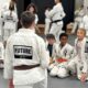 Is Brazilian Jiu-Jitsu for Adults the Key to Strength, Discipline, and Skill Mastery?