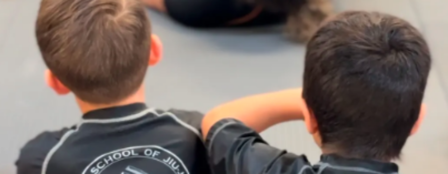 Brazilian jiu-jitsu training